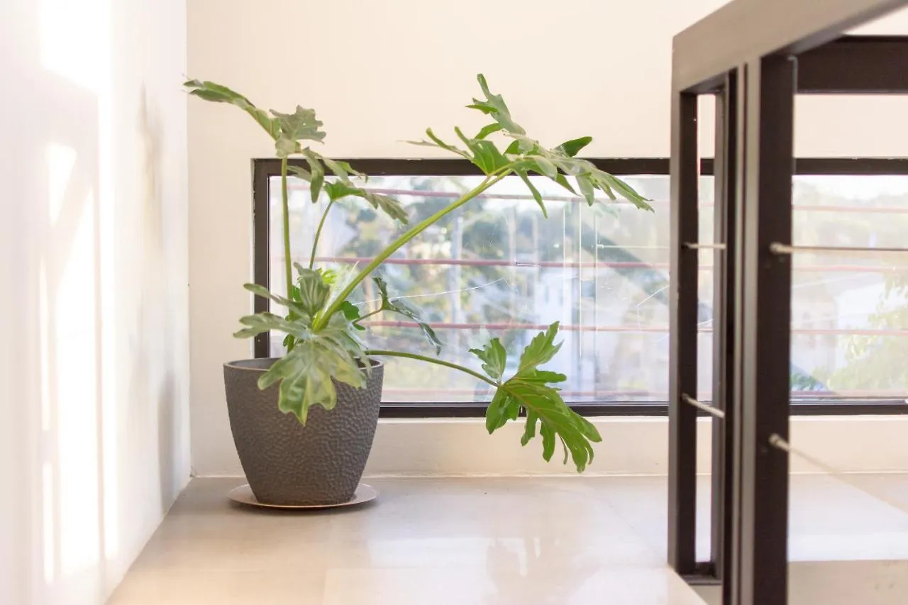 Lofts Santa Fe Apartamento Guadalajara México
